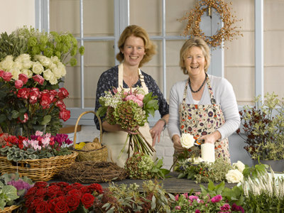 About Flowers by Baz